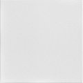 A La Maison Ceilings Basic 20-in x 20-in 8-Pack Plain White Textured Surface-mount Ceiling Tile, 8PK R22PW-8